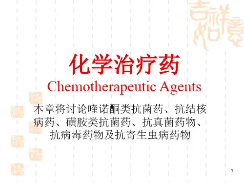 化学治疗药全套PPT课件