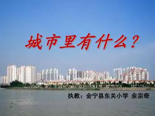 城市里有什么 PPT课件