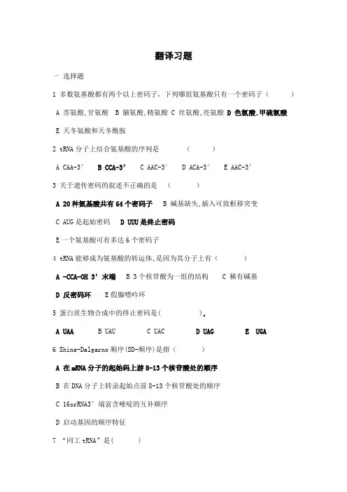 分子生物学 翻译习题