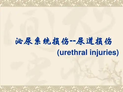 尿道损伤讲课