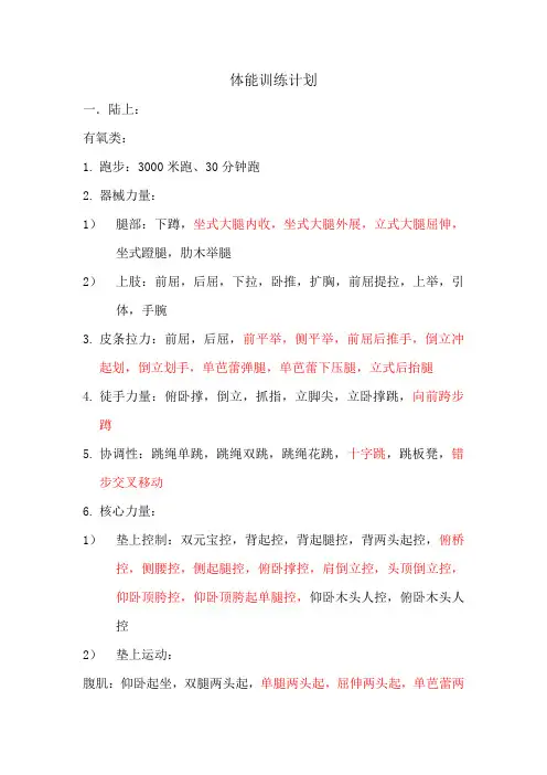 体能训练计划