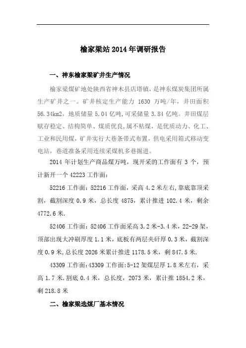 xxx调研报告