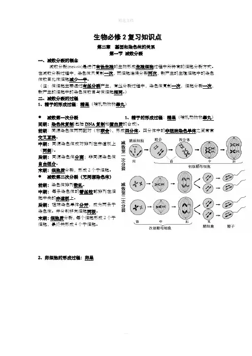 高中生物必修二知识点总结(精华版)