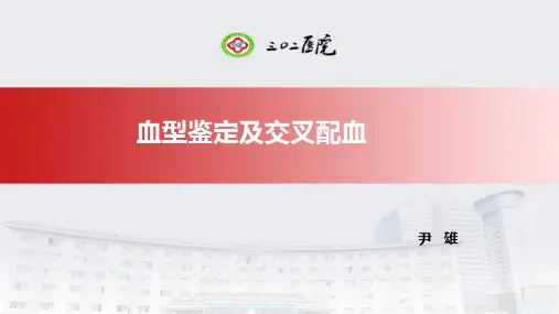 血型鉴定及交叉配血