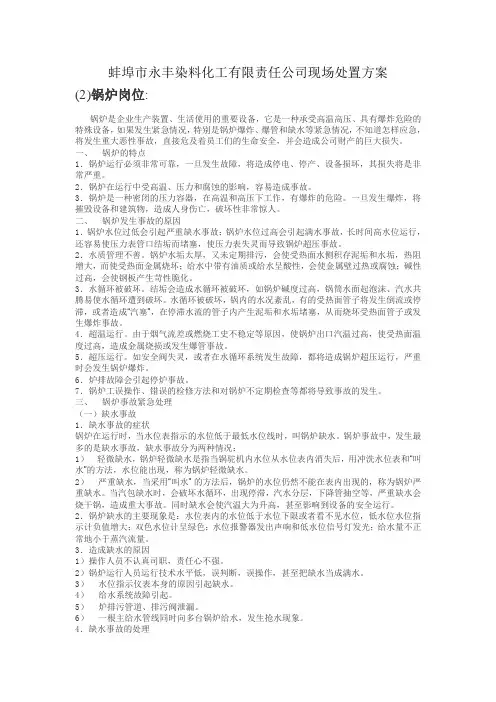 锅炉现场处置方案