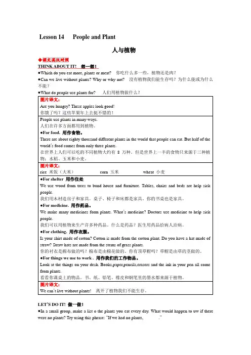 八年级英语下册lesson14教材内容详解冀教版