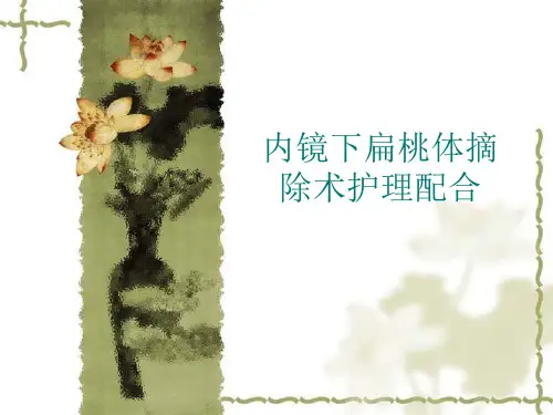 内镜扁桃体炎围手术期护理查房,教学查房
