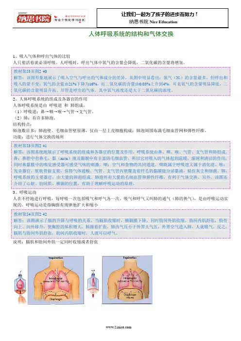 生物的呼吸和呼吸作用