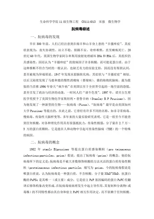 朊病毒