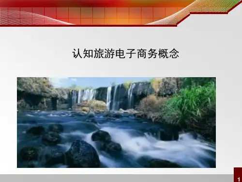 认知旅游电子商务概念