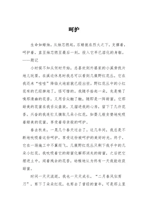 初中优秀记叙文作文：呵护