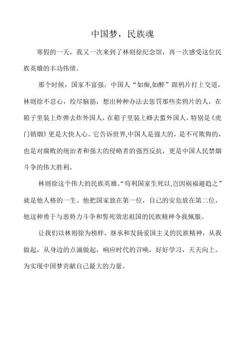 中国梦,民族魂
