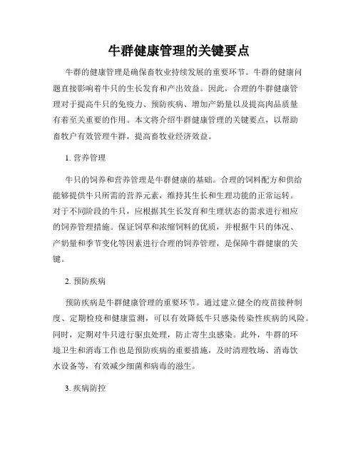 牛群健康管理的关键要点