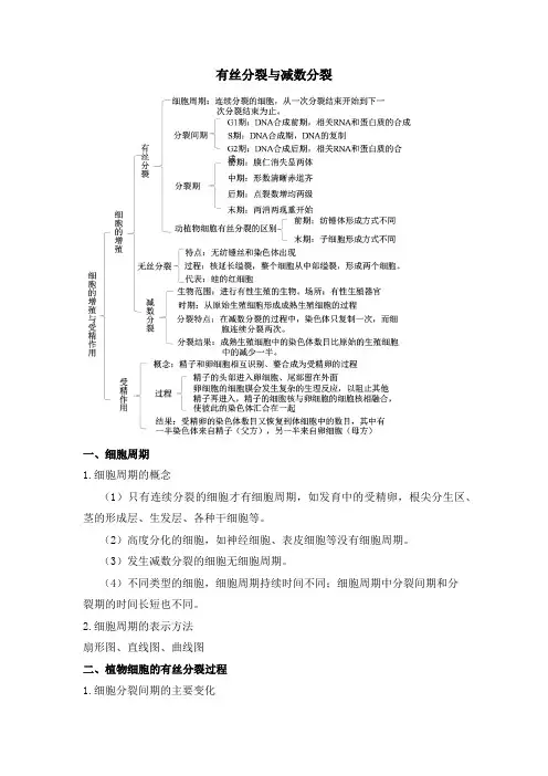 有丝分裂与减数分裂