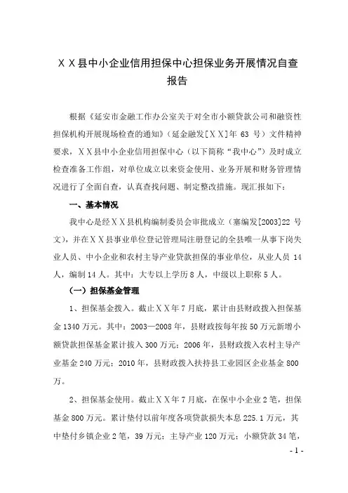 中小企业信用担保中心担保业务开展情况自查报告