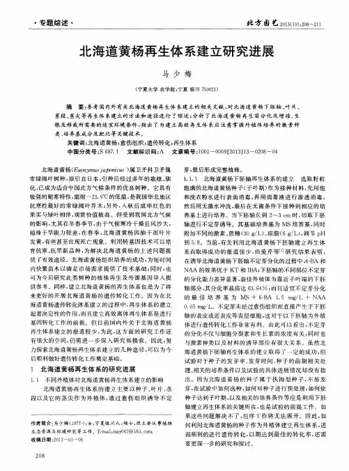 北海道黄杨再生体系建立研究进展