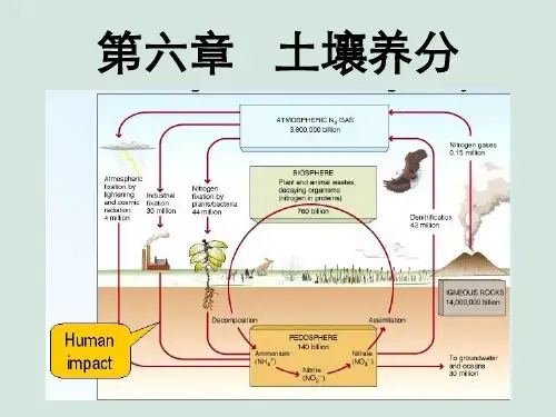 第六章土壤养分
