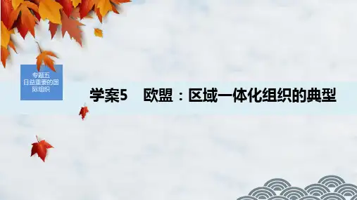 高中政治选修3优质课件：5.5 欧盟：区域一体化组织的典型
