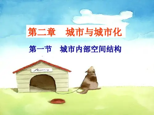 城市内部空间结构(优秀)