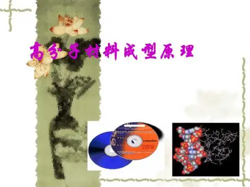 高分子材料加工原理第五章