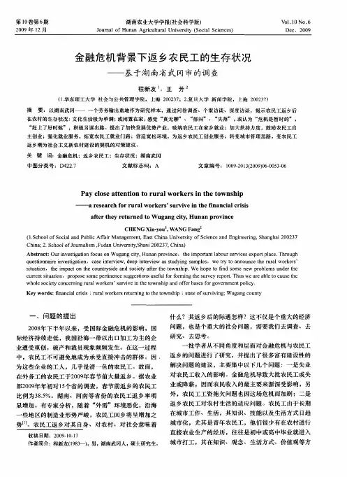 金融危机背景下返乡农民工的生存状况——基于湖南省武冈市的调查