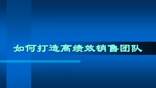 如何打造高绩效销售团队(ppt 204页)