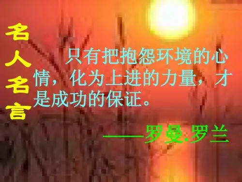 骆驼寻宝记723