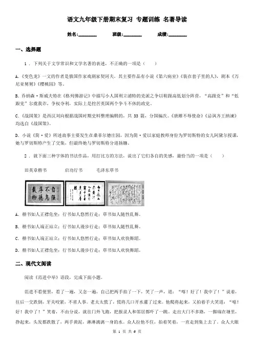 语文九年级下册期末复习 专题训练 名著导读