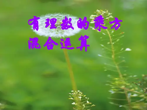 含有理数的乘方的混合运算ppt