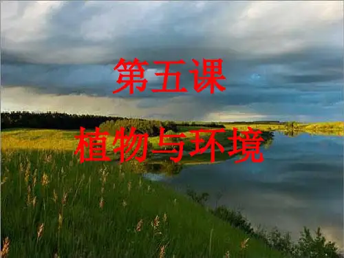 植物与环境