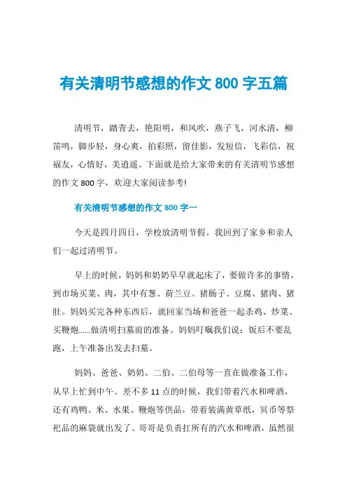 有关清明节感想的作文800字五篇