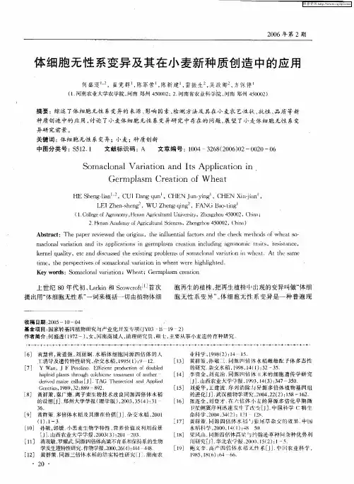 体细胞无性系变异及其在小麦新种质创造中的应用