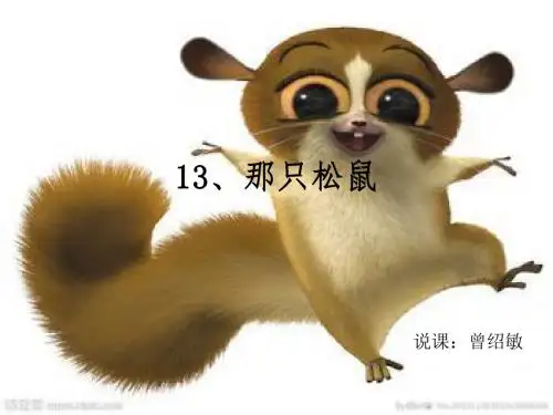 13、那只松鼠