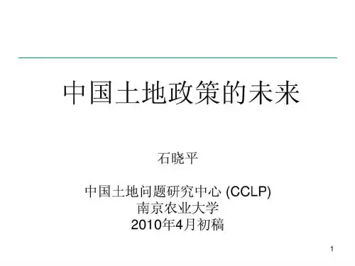 中国土地政策的未来