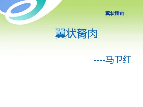 翼状胬肉护理幻灯片