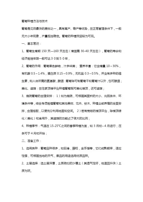 葡萄种植方法与技术