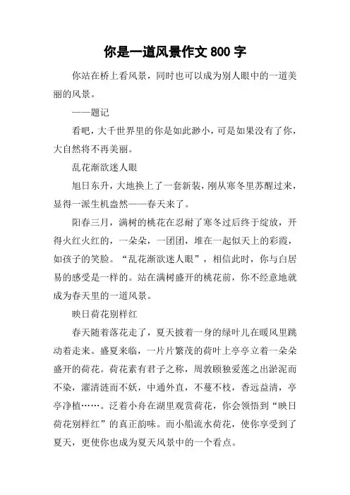 你是一道风景作文800字
