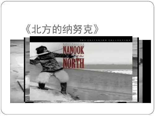 《北方的纳努克》赏析概述