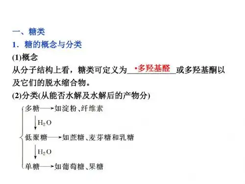 生命中重要的有机物及材料高三复习