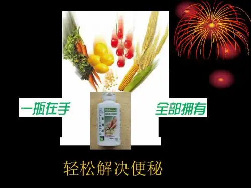 轻松解决便秘