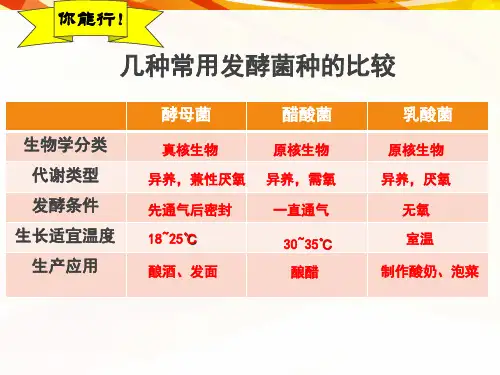 人教版高中生物选修一  腐乳的制作