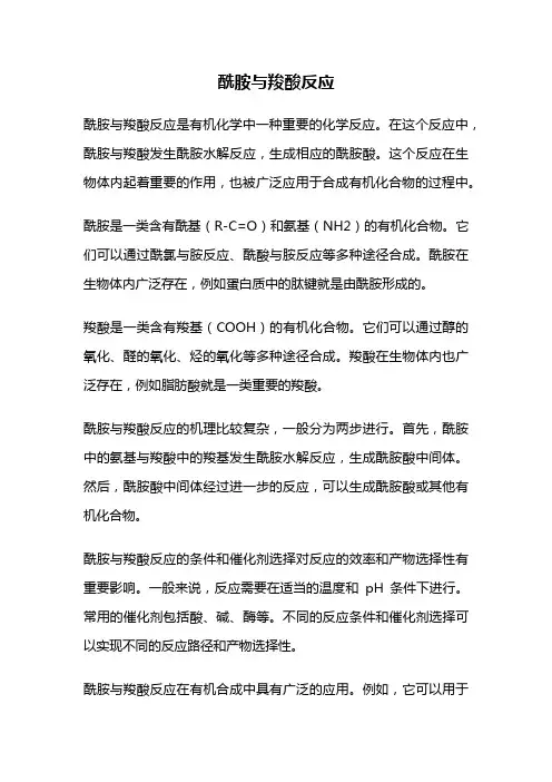 酰胺与羧酸反应