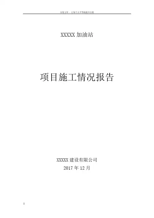 项目施工情况报告