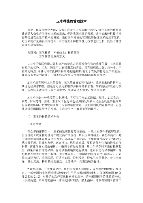 玉米种植的管理技术