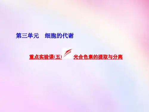2016高考生物一轮复习 重点实验课(五)光合色素的提取与分.