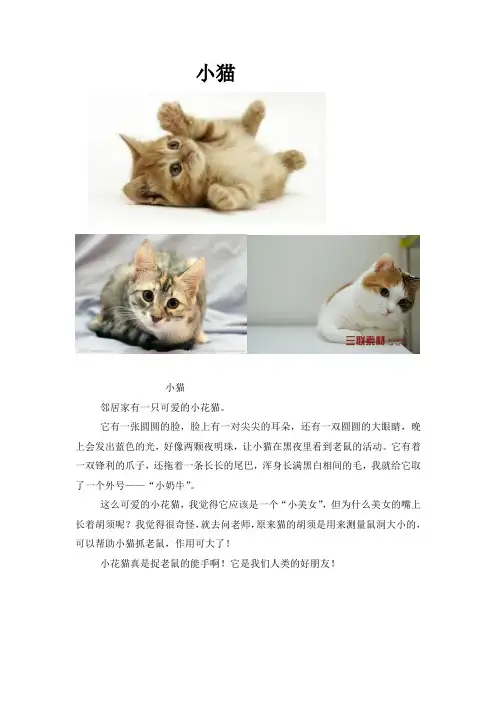 二年级写话：小花猫