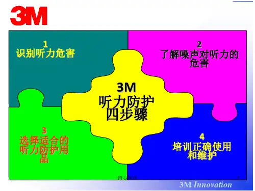 演讲稿噪声防护(培训).ppt