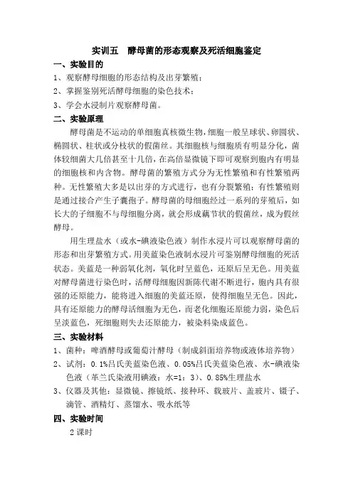 实训五 酵母菌的形态观察及死活细胞鉴定