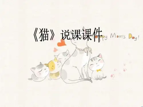 猫说课课件