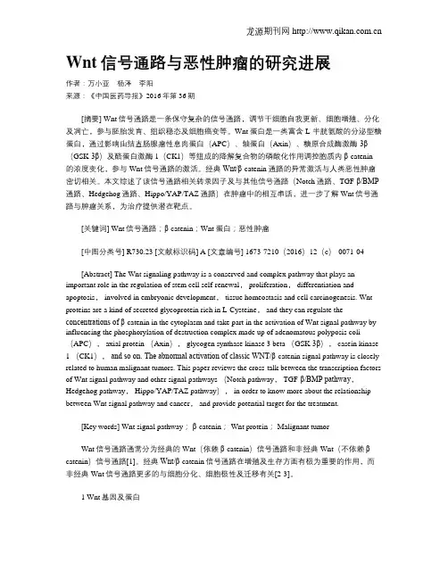 Wnt信号通路与恶性肿瘤的研究进展
